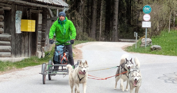 Pipemillers Husky Touren Dogscooter Touren - Österreich Salzburg Abtenau Tennengau - Husky Wanderungen