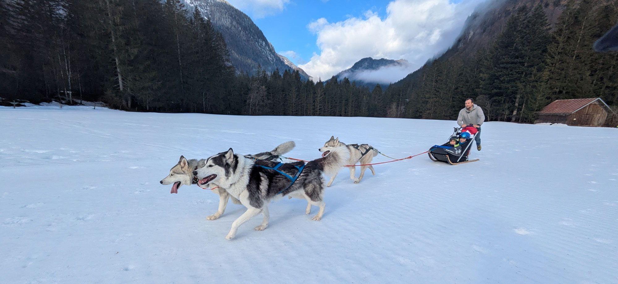 Husky Abenteuer in Abtenau Tennengau Husky Schlittenfahrten Postalm Schneeschuhwanderungen Husky Schlittenrennen
