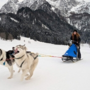 Pipemiller Husky Touren Salzburg Abtenau Tennengau Husky Schlittenfahrten