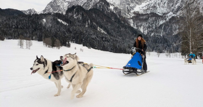 Pipemiller Husky Touren Salzburg Abtenau Tennengau Husky Schlittenfahrten