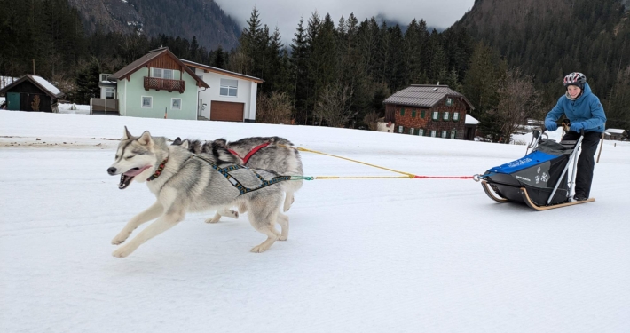 Pipemiller Husky Touren Salzburg Abtenau Tennengau Husky Schlittenfahrten