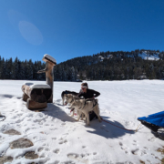 Husky Touren Abtenau Tennengau Husky Schlittenfahrten Postalm Schneeschuhwanderungen Husky Schlittenrennen