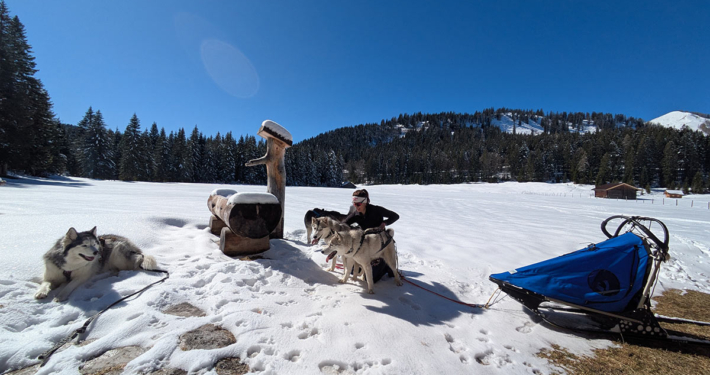 Husky Touren Abtenau Tennengau Husky Schlittenfahrten Postalm Schneeschuhwanderungen Husky Schlittenrennen