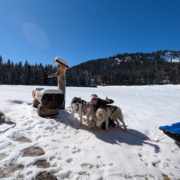 Husky Touren Abtenau Tennengau Husky Schlittenfahrten Postalm Schneeschuhwanderungen Husky Schlittenrennen