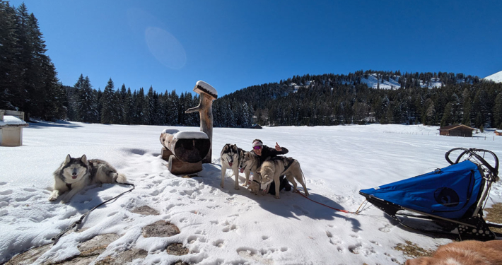 Husky Touren Abtenau Tennengau Husky Schlittenfahrten Postalm Schneeschuhwanderungen Husky Schlittenrennen