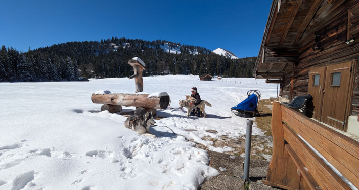 Husky Touren Abtenau Tennengau Husky Schlittenfahrten Postalm Schneeschuhwanderungen Husky Schlittenrennen