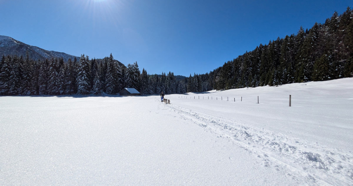 Husky Touren Abtenau Tennengau Husky Schlittenfahrten Postalm Schneeschuhwanderungen Husky Schlittenrennen