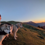 Bergtouren mit Pipemiller Husky Touren Abtenau Tennengau Husky Wanderungen Dogscooter Touren