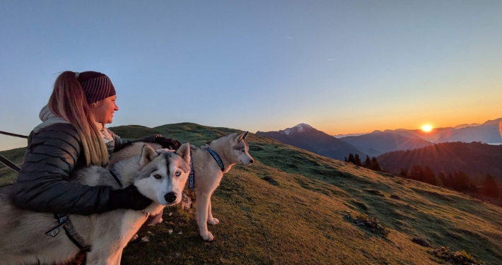Bergtouren mit Pipemiller Husky Touren Abtenau Tennengau Husky Wanderungen Dogscooter Touren
