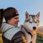 Husky Touren Pipemiller Salzburg Abtenau Tennengau - Dogscooter Touren - Husky Wanderungen