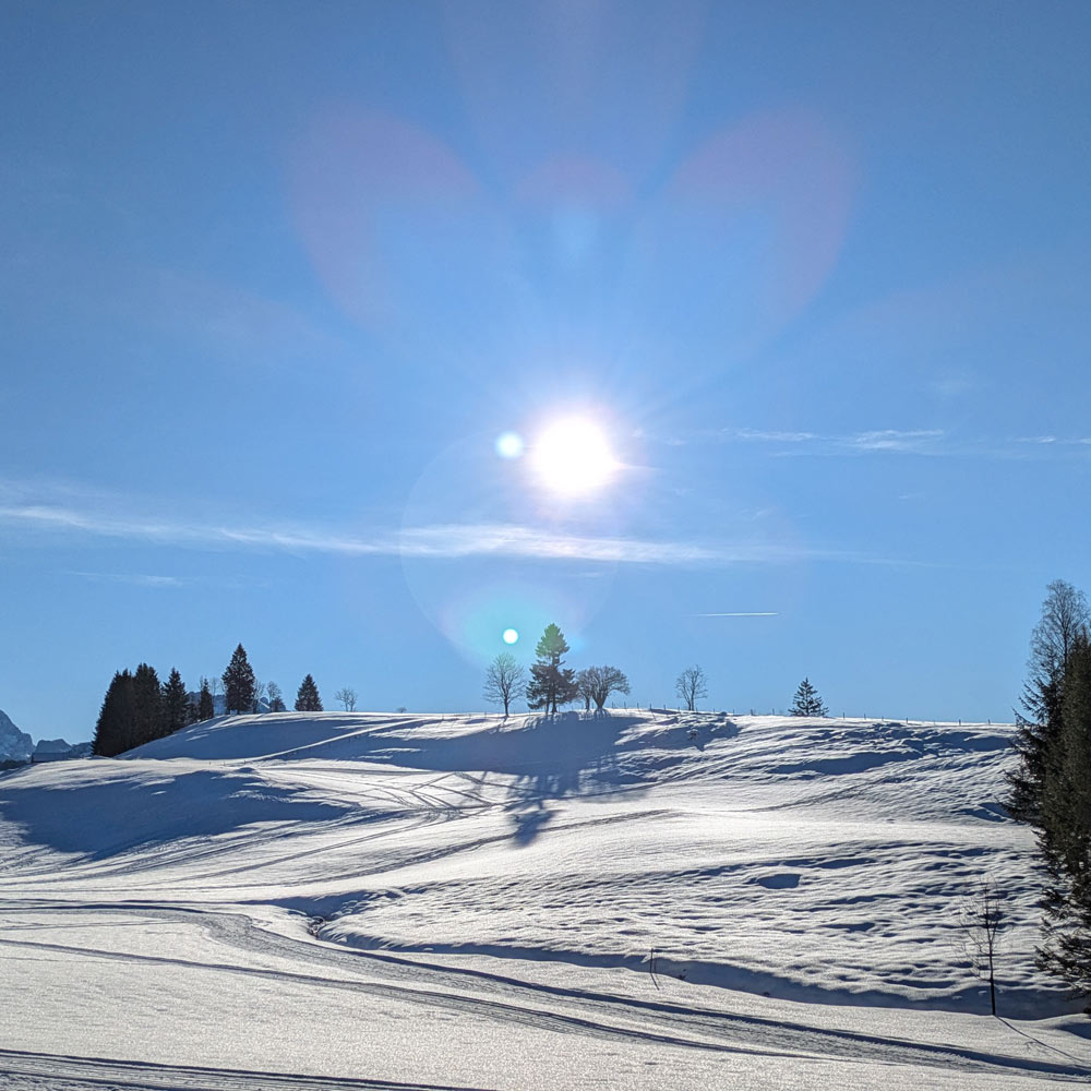 Husky Touren Pipemiller Österreich Salzburg Abtenau Tennengau - Schneeschuhwandern Schlittenfahrten