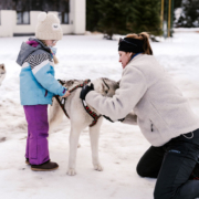 Schlittenfahren mit Huskys für Kinder Husky Touren Abtenau Tennengau Husky Schlittenfahrten Postalm Schneeschuhwanderungen Husky Schlittenrennen