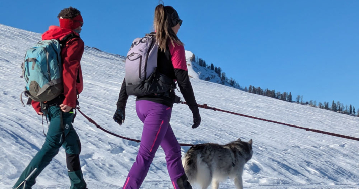 Schneeschuhwanderungen Husky Touren Pipemiller Österreich Salzburg Abtenau Tennengau - Schneeschuhwandern Schlittenfahrten