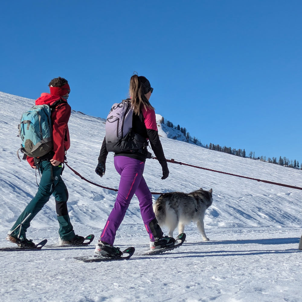 Schneeschuhwanderungen Husky Touren Pipemiller Österreich Salzburg Abtenau Tennengau - Schneeschuhwandern Schlittenfahrten