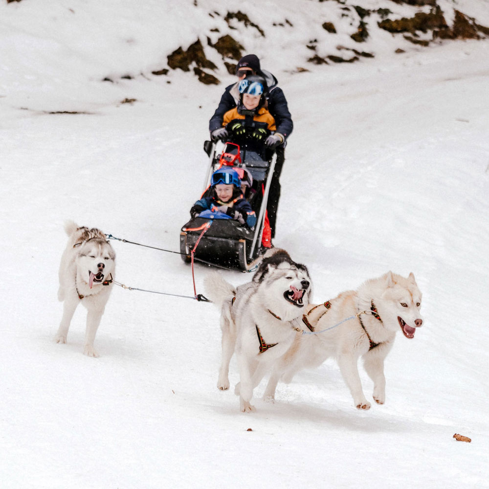 Husky Schlittenfahren Husky Touren Abtenau Tennengau Husky Schlittenfahrten Postalm Schneeschuhwanderungen Husky Schlittenrennen