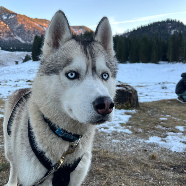 SUUNTO – unsere Sportuhr Husky Touren Pipemiller Abtenau Tennengau - SUUNTO - unsere Sportuhr