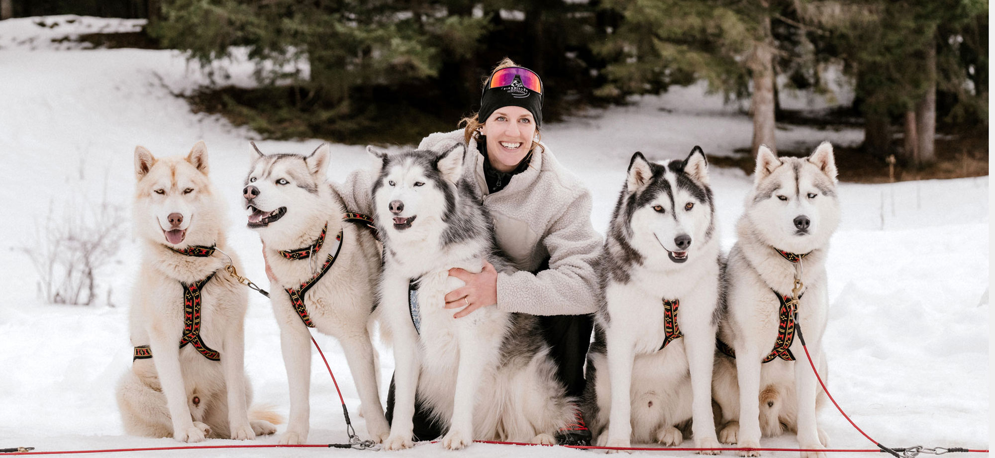 Husky Touren Abtenau Viktoria Rohrmüller Husky Touren Abtenau Tennengau Husky Schlittenfahrten Postalm Schneeschuhwanderungen Husky Schlittenrennen